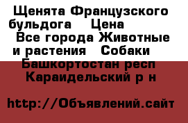 Щенята Французского бульдога. › Цена ­ 45 000 - Все города Животные и растения » Собаки   . Башкортостан респ.,Караидельский р-н